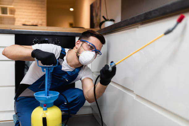 Best Affordable Pest Control Services  in Milton Freewater, OR