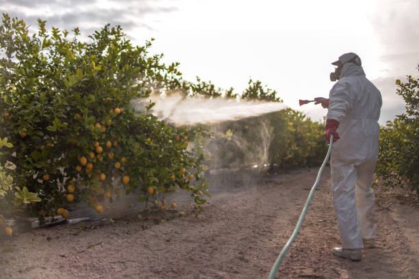Best Cockroach Control Services  in Milton Freewater, OR
