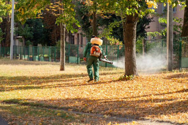 Professional Pest Control in Milton Freewater, OR