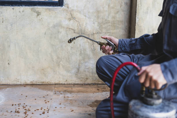 Best Rat Extermination Near Me  in Milton Freewater, OR